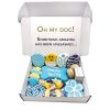 Easter-Spring Themed Dog Treats Gift Box