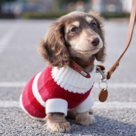 Sausage Dog Clothes Small Dog Cat Warm Thickened Sweater (Option: Red And White Striped Sweater-SM)